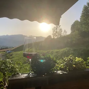 Zum Kleinen Allgäuer Apartment