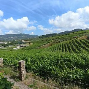 Al Vigneto Apartment Sestri Levante